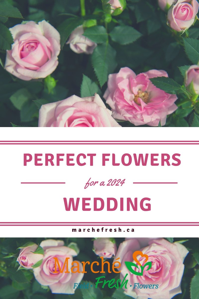 2024 Wedding Flower Trends