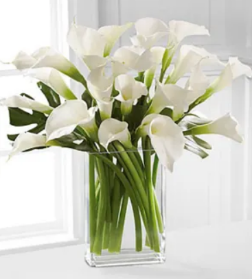 Calla Lily.png