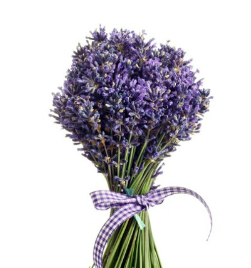 Fresh Lavender Bunch 1.png