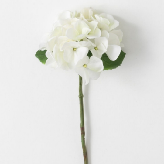 Hydrangea White Mini.png