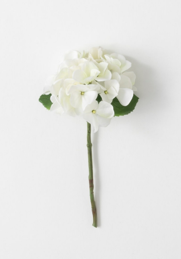 Hydrangea White Mini.png
