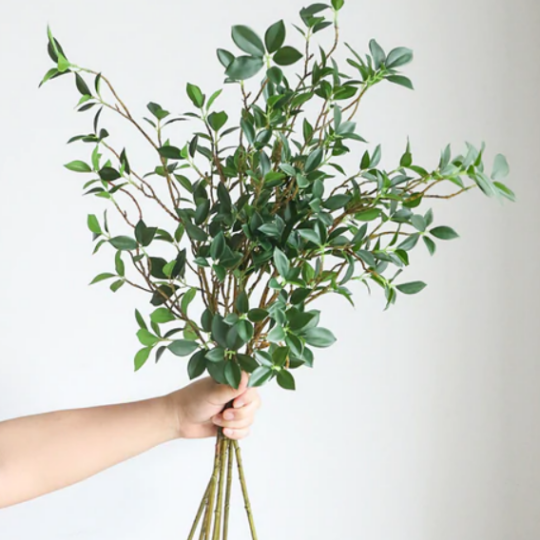 Nagi Greenery.png