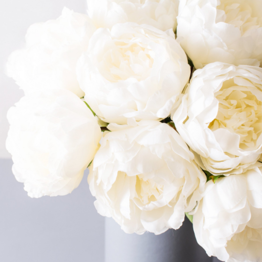 Peony - White.png