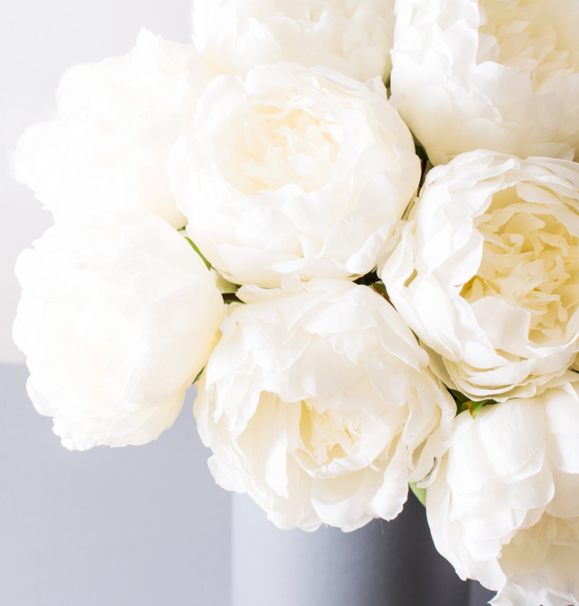 Peony - White.png