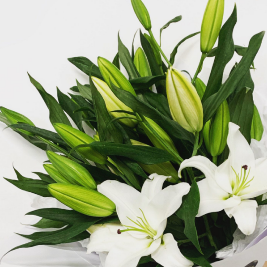 White Oriental Lilies - Marche Fresh 1.png
